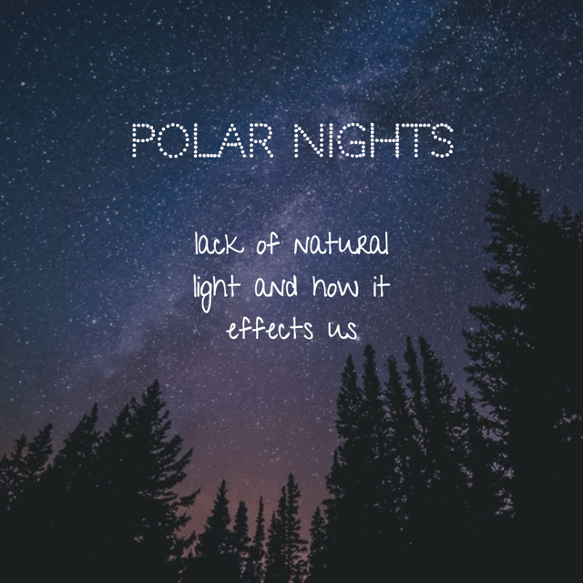 POLAR NIGHTS.png