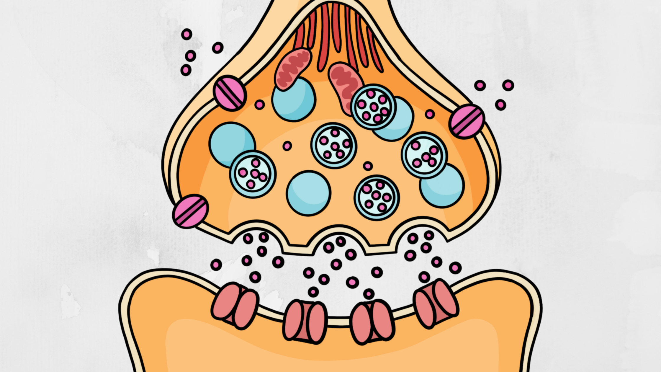 Canva Design DAG4TLAhmrs