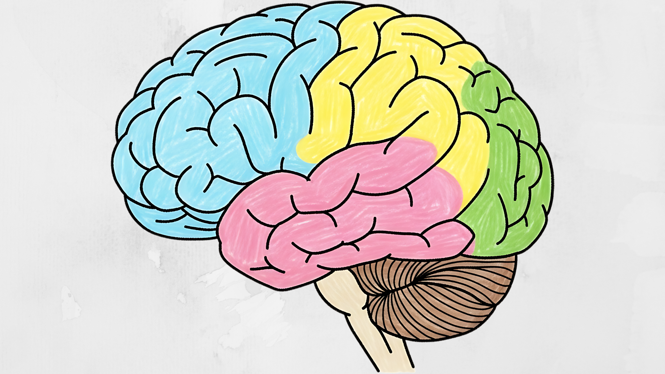 Canva Design DAG88YTJ-6k