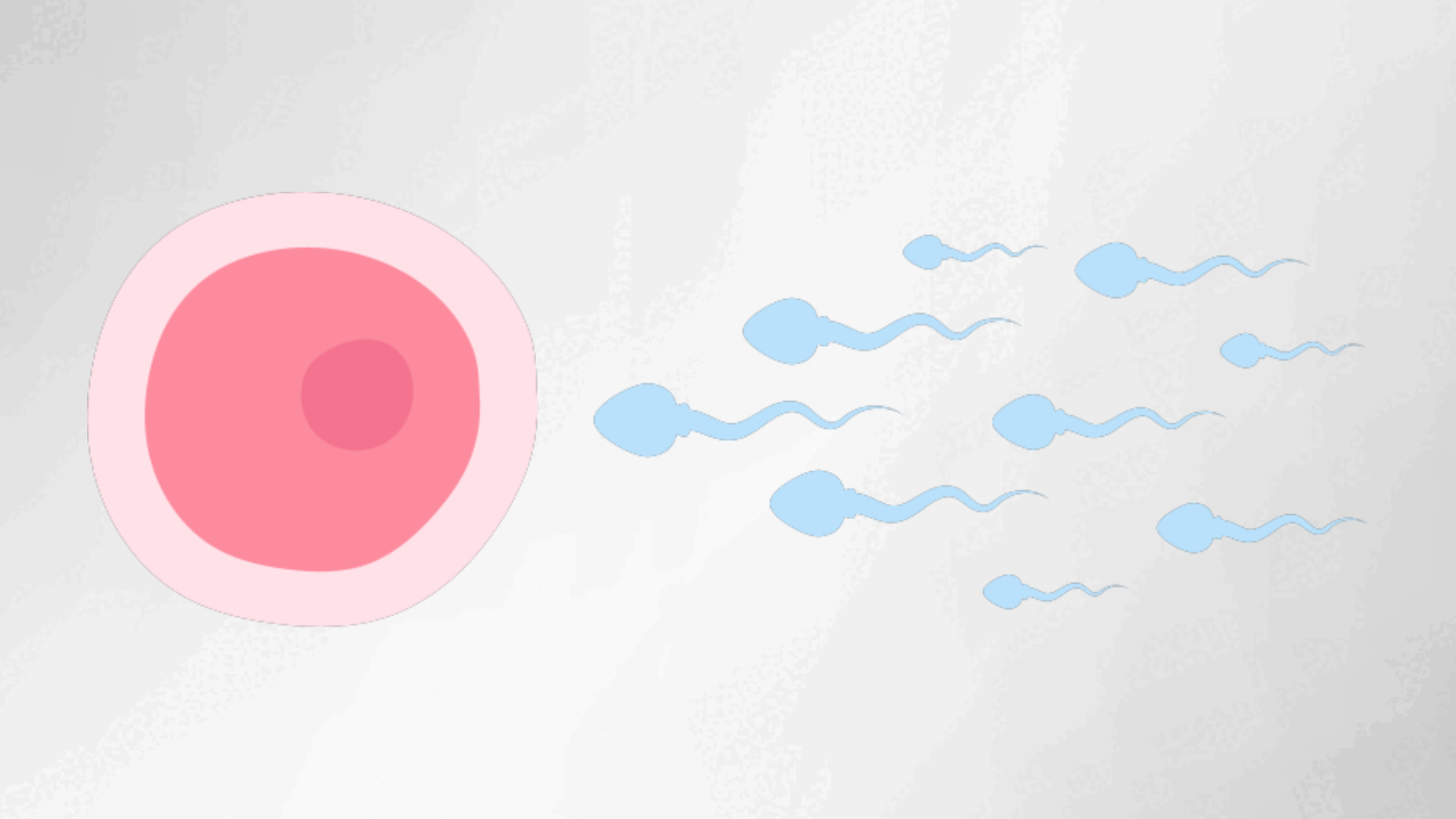 Canva Design DAHTIphmSdA