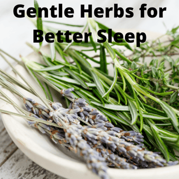 Gentle Herbs for Better Sleep