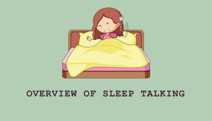 Overview of Sleep Talking